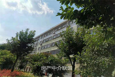 城西富贵养生苑二楼133平三室毛坯带储藏室车位71万